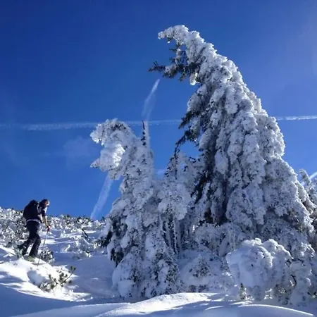 Appartement-reiteralm Schober Appartement Schladming
