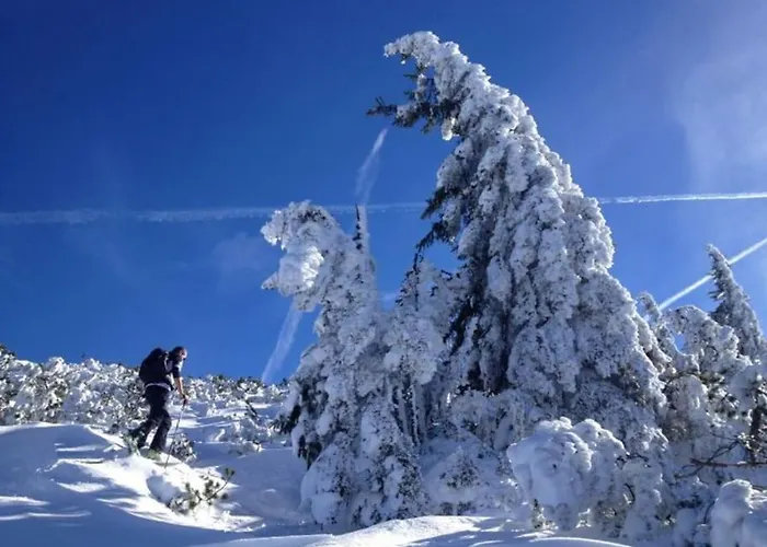 Appartement-reiteralm Schober Apartamento Schladming
